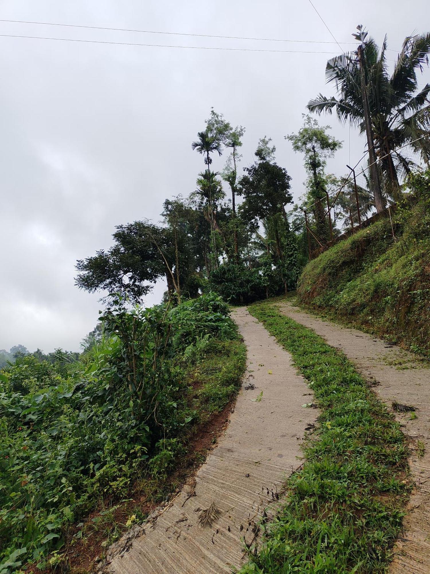 Shivalaya Homestay, Madikeri Siddāpur Kültér fotó