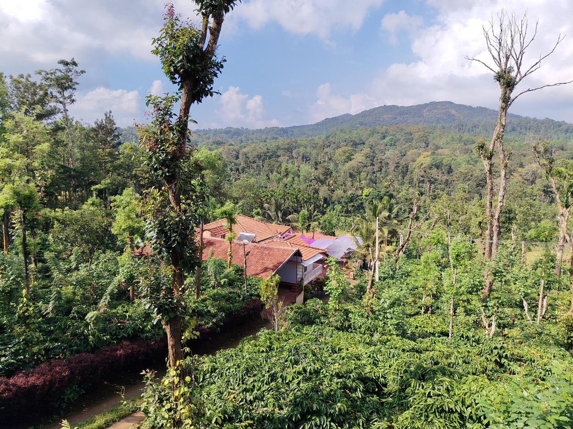 Shivalaya Homestay, Madikeri Siddāpur Kültér fotó