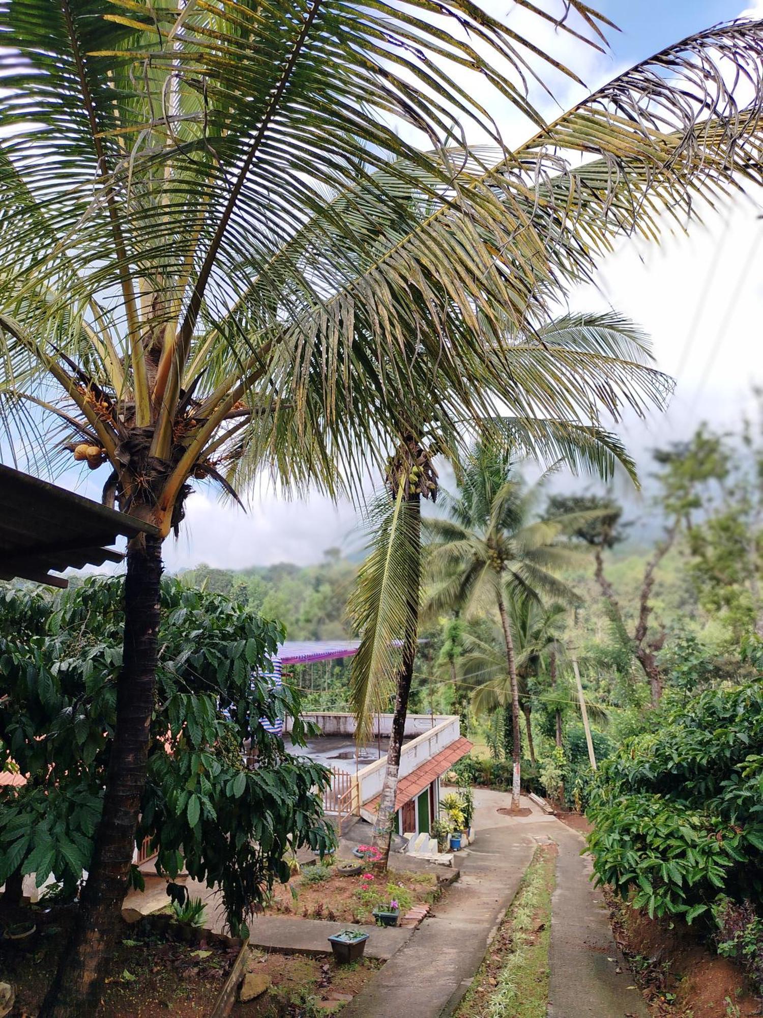 Shivalaya Homestay, Madikeri Siddāpur Kültér fotó